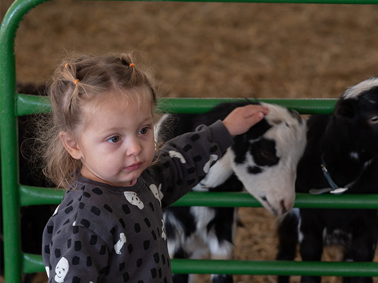 750-x-561-child-petting-goat