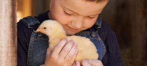 SpringBabies_ChickB_v1