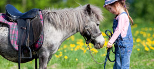 SpringBabies_PonyB_v1